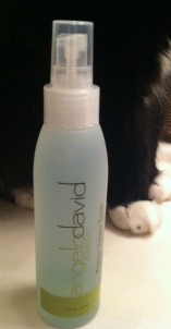 Premier Volume Spray from Angelo David Salon Review and Giveaway