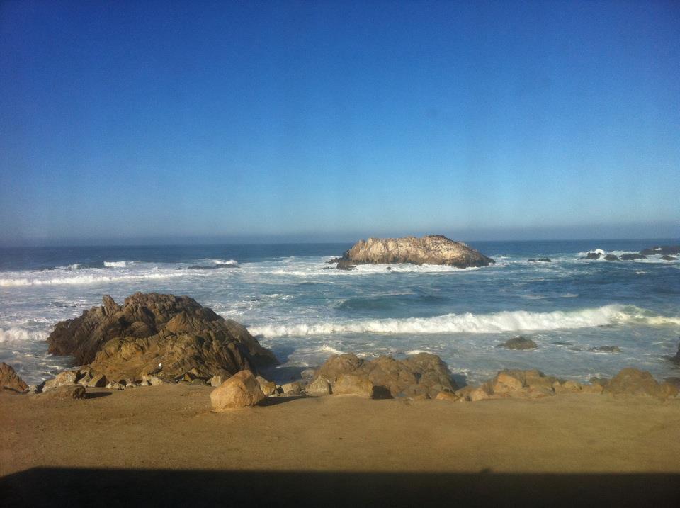 Monterey Coast by Pebble Beach by Chris Carroll