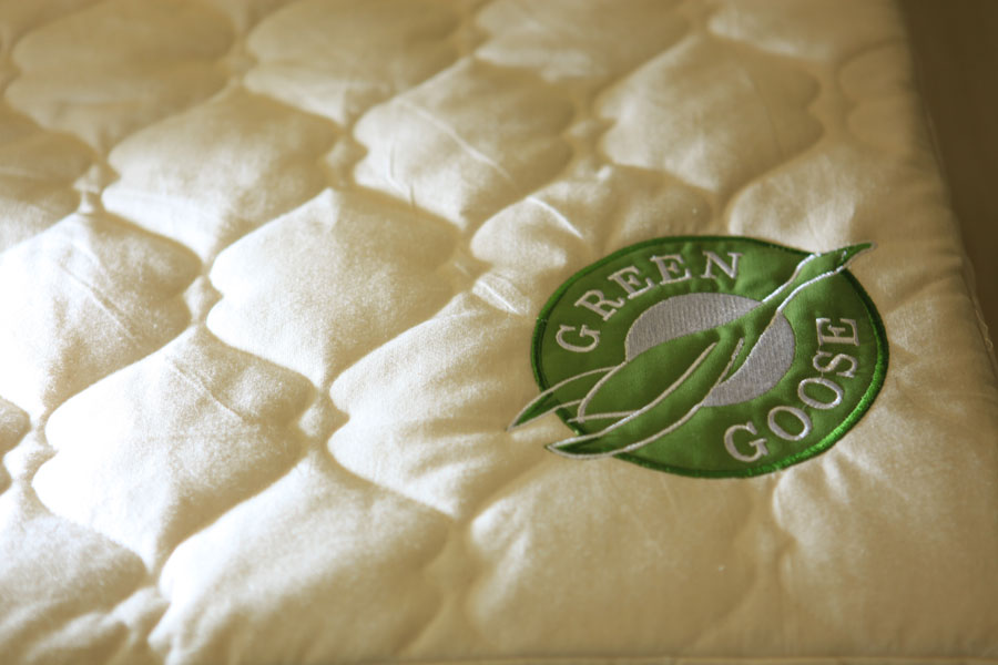 Essentia Natural Memory Foam Pillow Review and Green Goose Mattress Cover