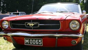 Old Mustang on Two Classy Chics