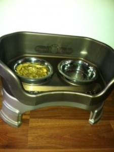 Neat Feeder Pet Feeder Review and Giveaway on Two Classy Chics