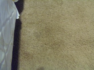 Spot Shot Carpet Pet Stain Remover