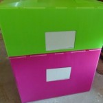 Packaways Reusable Storage Box