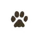 paw print