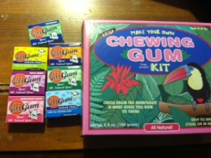 Glee Gum Make Your Own Candy and Gum Kit https://twoclassychics.com