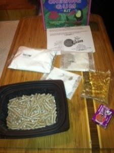 Glee Gum Make Your Own Candy and Gum Kit https://twoclassychics.com