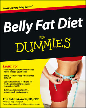 Belly Fat Diet for Dummies Book https://twoclassychics.com