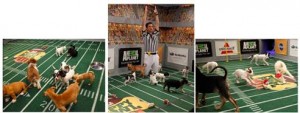 Animal Planet puppybowl on TwoClassychics https://twoclassychics.com