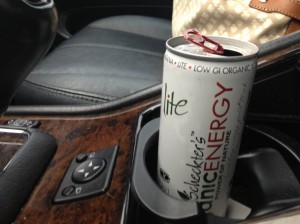 Scheckter's Organic Energy Drinks 