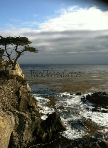 Lone Cypress 2 waterrmarked https://twoclassychics.com