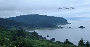 oregon coastline https://twoclassychics.com