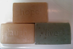 Organic Handcrafted Soap by Soaps to Live By