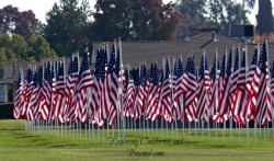 Almost Wordless Wednesday Veterans Day Memorial https://twoclassychics.com