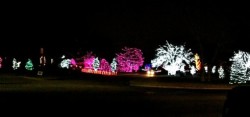 christmas lights in okc https://twoclassychics.com