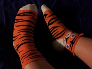 Sock Panda: Bold http://