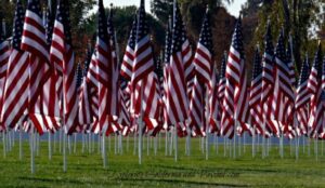 Merced Field of Honor http://exploringcaliforniaandbeyond.blogspot.com/2013/11/merced-field-of-honor-flys-1000-flags.html