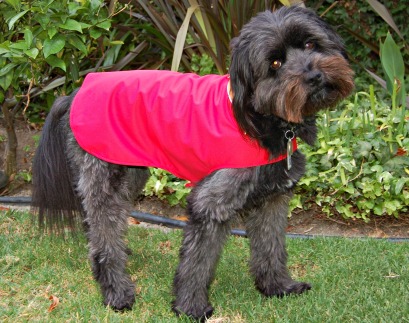 Astoria Overcoat For Dogs from Gold Paw Series