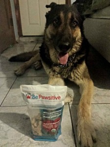 be pawsitive dog treats https://twoclassychics.com/2014/06/be-pawsitive-dog-treats/