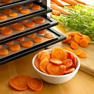 carrot chips https://twoclassychics.com/2014/06/5-healthy-veggie-chip-recipes/