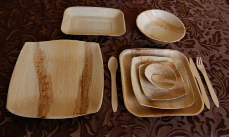 Compostable Disposable Dinnerware