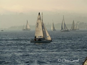Sailing San Diego Harbor https://twoclassychics.com/2014/06/almost-wordless-wednesday-sail/