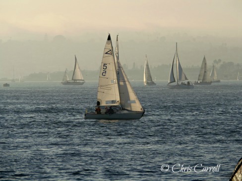 Out for a Sail in San Diego