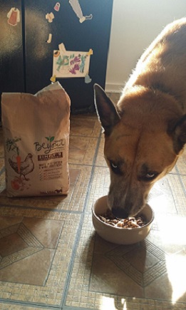 Purina Beyond Natural Pet Food for Dogs