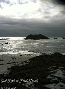 Seal Rock Pebble Beach Ca https://twoclassychics.com/2014/09/almost-wordless-wednesday-seal-rock-pebble-beach/