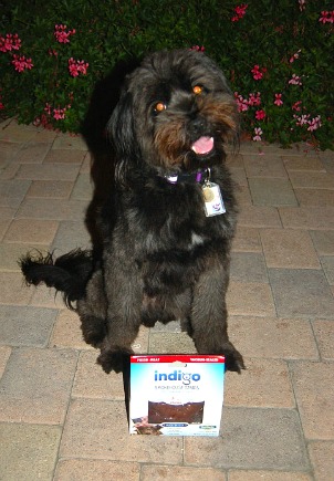 indigo dog treats from petsafe 