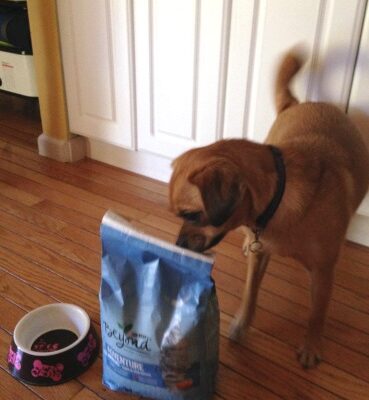 Purina Beyond Natural Dog Food