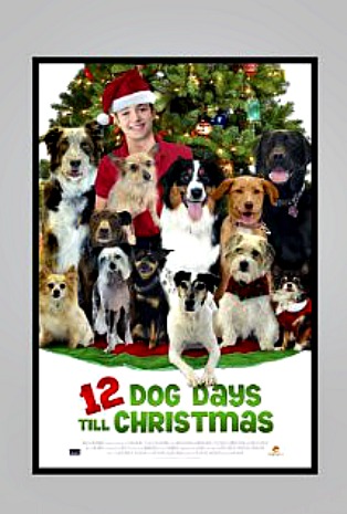 Holiday Movie Night 12 Dog Days Till Christmas DVD