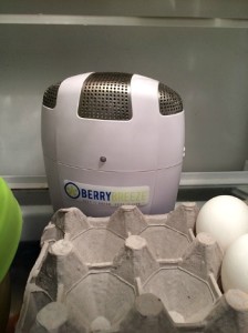 BerryBreeze Fridge Freshener