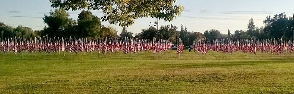 Field of Honor Merced CA 2014 shows 1776 flags on display