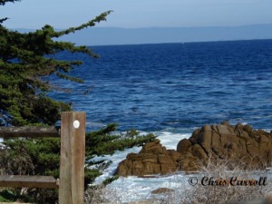Pacific Ocean at Monterey Bay by chris carroll
