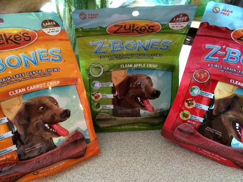 Tips for Choosing Healthy Dog Treats