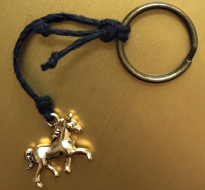 2015 Feng Shui Charm Keychain for Protection & Luck by Anjie Cho