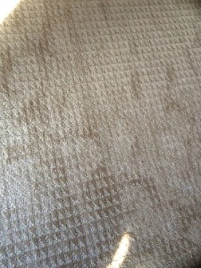 Investing in Upgrades to the Home