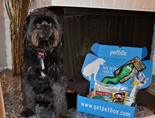 Petbox Subscription Service for Pets