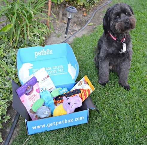 Fun Subscription Box for Your Pet Petbox