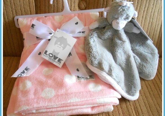 Premium Baby Shower Gifts from Little Giraffe