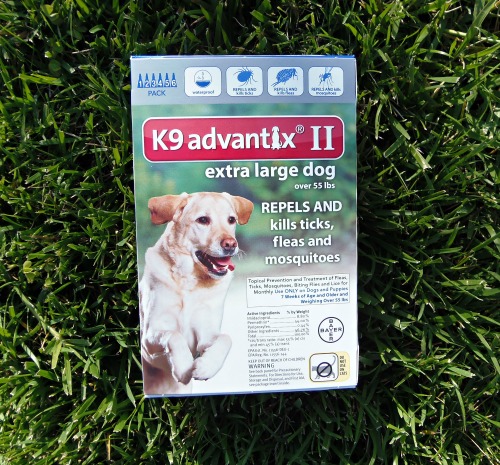 Bayer K9 Advantix II Teams Up with K9s For Warriors