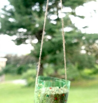 Kid’s Craft Project DIY Soda Bottle Bird Feeders