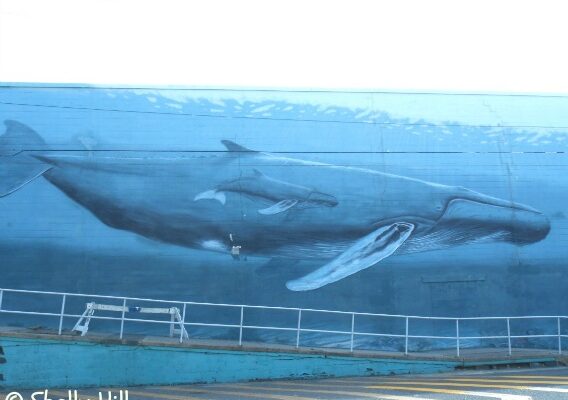 Wyland Whaling Wall – Humpbacks off the Jersey Coast