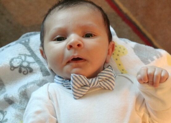 Fashionable Bow Ties for Stylish Babies