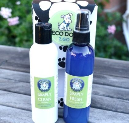 Spoil Your Pet with the Eco Dog 2.Go Gift Box