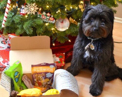 Treat your Pup to BarkBox