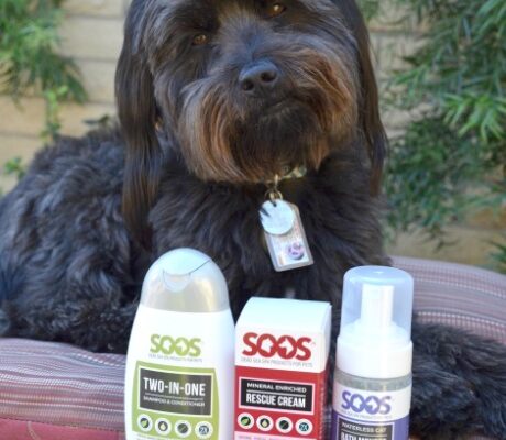 SOOS Dead Sea Spa Products for Pets