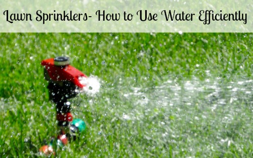 Lawn Sprinklers- How to Use Water Efficiently