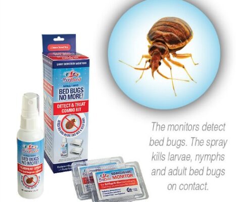 Say Bye Bye to Bed Bugs While Traveling!