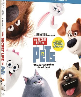 Family Movie Night: The Secret Life of Pets